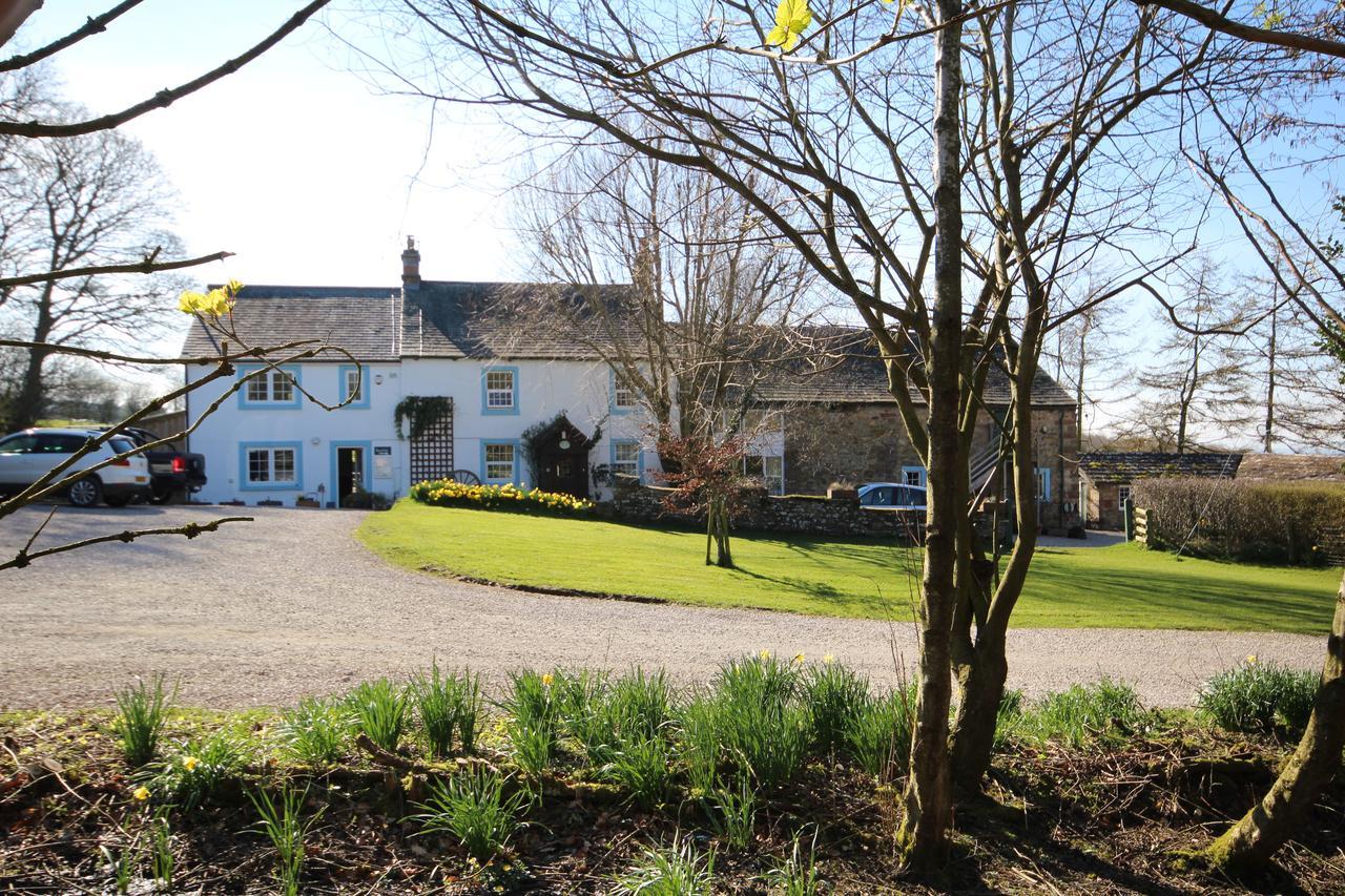 Wallace Lane Farm Westward Exterior foto